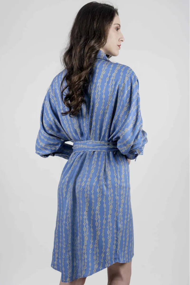 Hartwell Tara Shirt Dress - Blue Chains-1