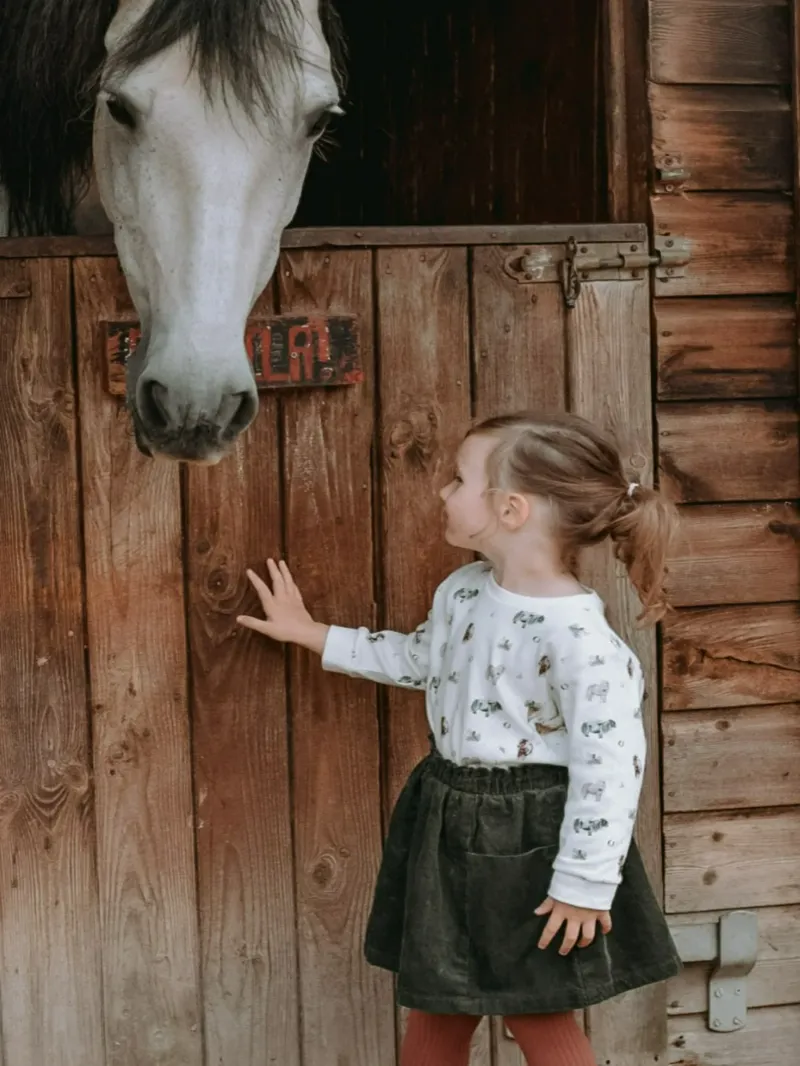 The Little Stamford Company Pony Top